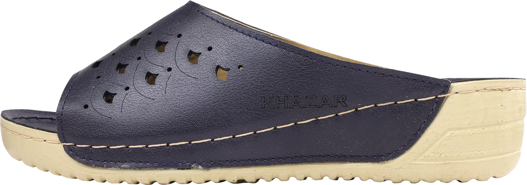 دمپایی خارپاشنه زنانه خزر مدل 02-95 رنگ سرمه‌ای